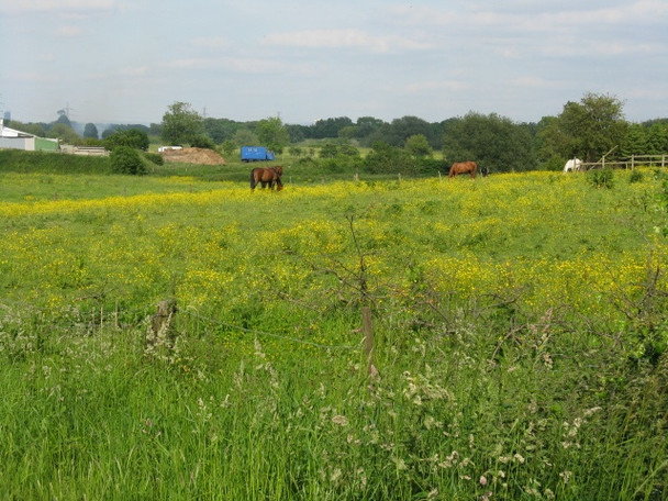 Photo 6"x4" Horse Paddock By The A6144 Urmston c2009