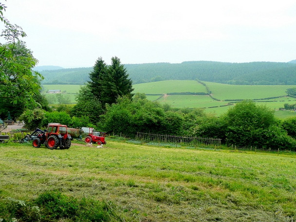 Photo 6"x4" View near Twizling Farm Ruardean Hill c2009