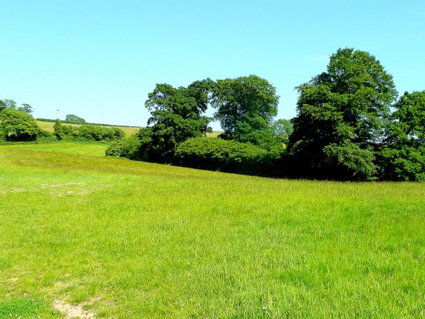 Photo 6"x4" East Devon pasture Bowd\/SY1090 c2009