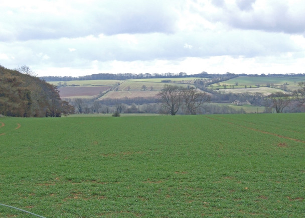 Photo 6"x4" Cotswolds view Little Rollright c2009