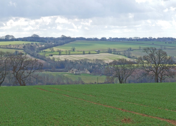 Photo 6"x4" Cotswolds view Little Rollright c2009 P1