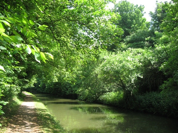 Photo 6"x4" The towpath approaching Bridge No 135 on the Grand Union Canal Tring c2009