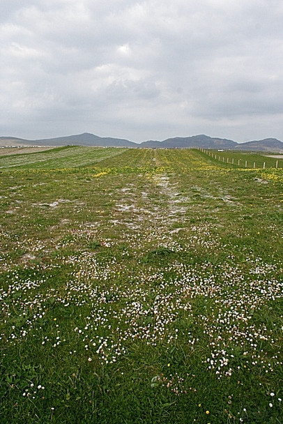 Photo 6"x4" Machair at Cille Pheadair Cille Pheadair\/NF7419 c2009