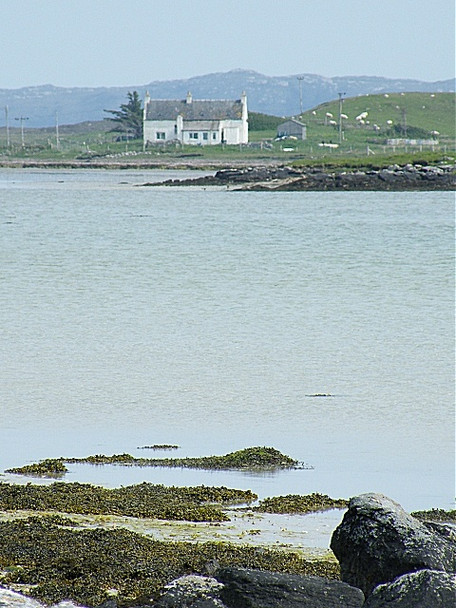 Photo 6"x4" Faoghail Bh\u00c3\u00a0laig Trumaisgearraidh c2009 P1