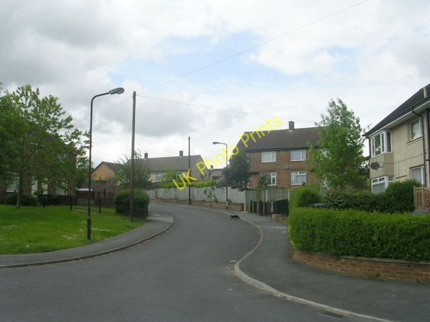 Photo 6"x4" Kelmore Grove - Moresby Road Woodside\/SE1328 c2009