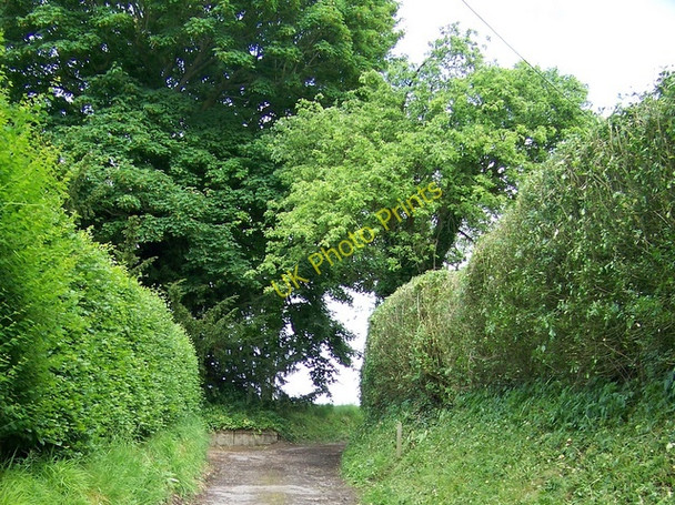 Photo 6"x4" Footpath, South Hay Kingsley\/SU7838 c2009