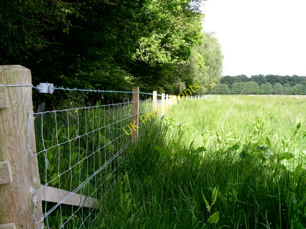 Photo 6"x4" Fence bordering Gartfairn Wood Balmaha c2009