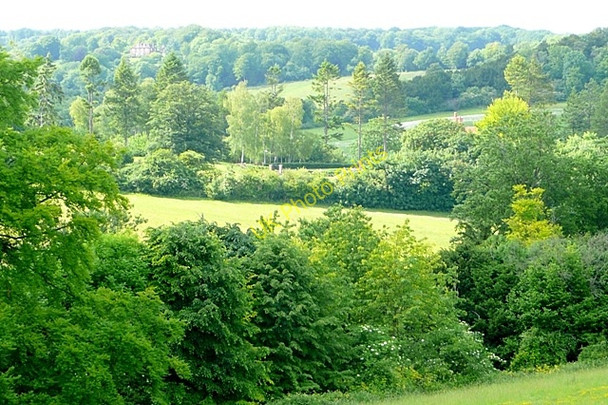 Photo 6"x4" Towards Howe Grove Wood Lower Basildon c2009