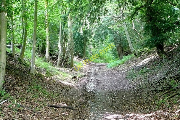 Photo 6"x4" Byway towards Hill Corner Stubbles c2009