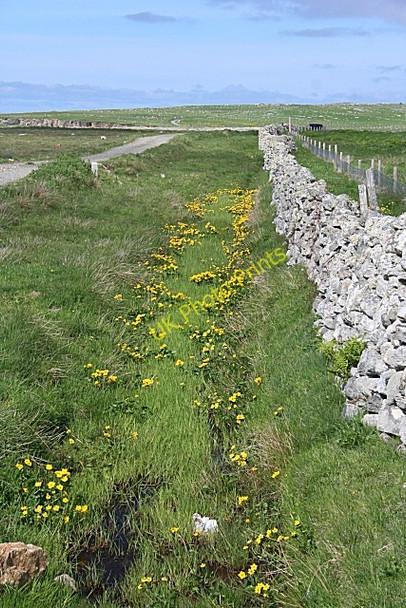 Photo 6"x4" Colourful Ditch Baile an Truiseil c2009