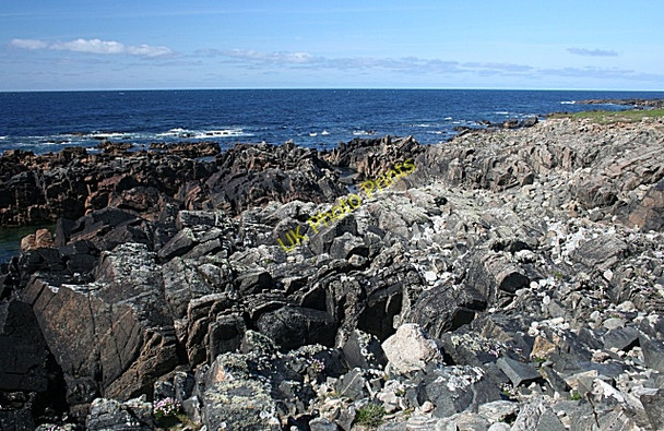 Photo 6"x4" Rubha Bhlanisgaidh Siadar c2009