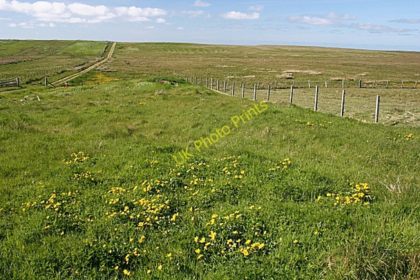 Photo 6"x4" Track to the Machair Siadar Iarach c2009