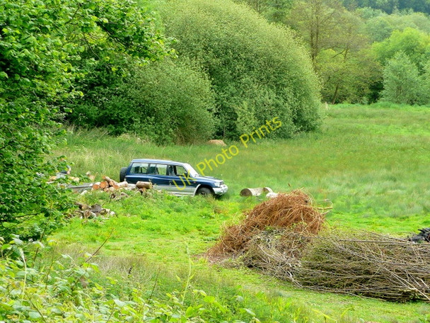 Photo 6"x4" Cutting firewood Buckholt c2009
