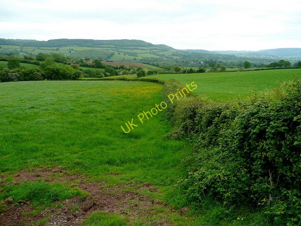 Photo 6"x4" View towards the Monnow valley Maypole\/SO4716 c2009