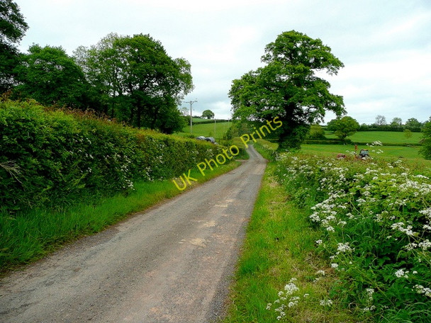 Photo 6"x4" Lane at Pen-y-lan Newcastle\/SO4417 c2009