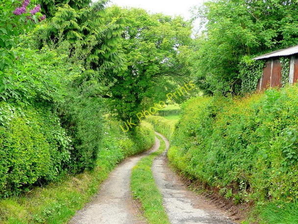 Photo 6"x4" Track to Great Crwys Llangattock-Vibon-Avel c2009