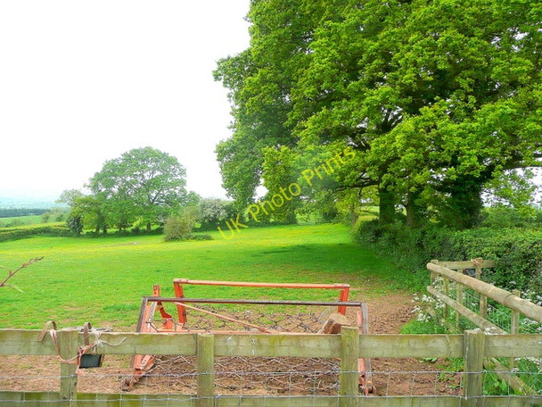 Photo 6"x4" Pasture at Farr Farm Newcastle\/SO4417 c2009