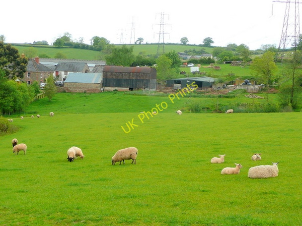 Photo 6"x4" New House Farm Crossway\/SO4419 c2009