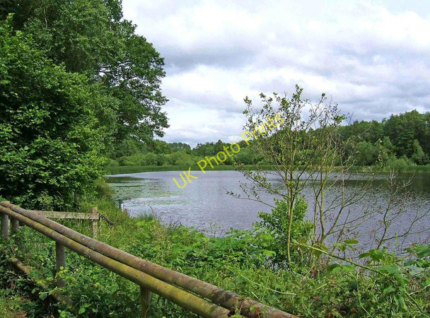 Photo 6"x4" Hurcott Pool looking east from the car park Hurcott\/SO8577 c2009