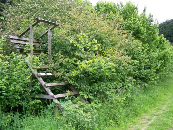 Photo 6"x4" High seat, Stubhampton Bottom Well Bottom\/ST9116 c2009