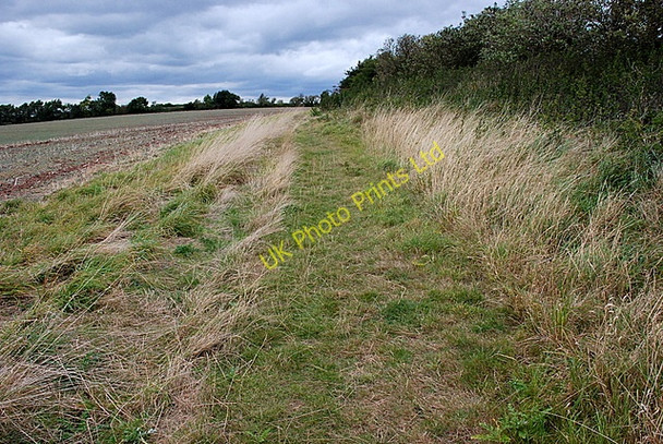 Photo 6"x4" The Trent Valley Way Clayworth c2007