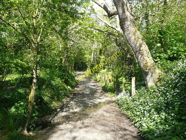 Photo 6"x4" Footpath, Poughill (Bude) Bude\/SS2106 c2009