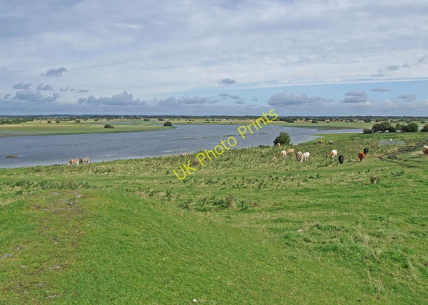 Photo 6"x4" River Shannon flood meadows Clonmacnoise c2008