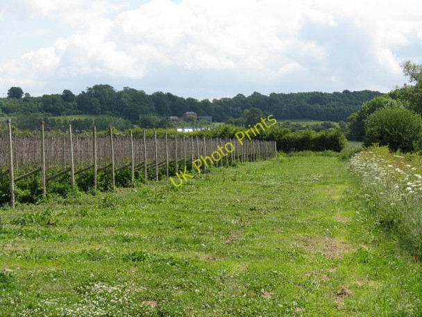 Photo 6"x4" Farmland Near Gain's Hill Birchend c2009