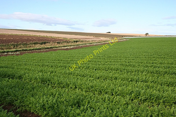 Photo 6"x4" Rappla Burn Kirkton of Auchterless c2007