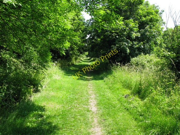 Photo 6"x4" View along the Royal Military Canal Path Hythe\/TR1634 c2009