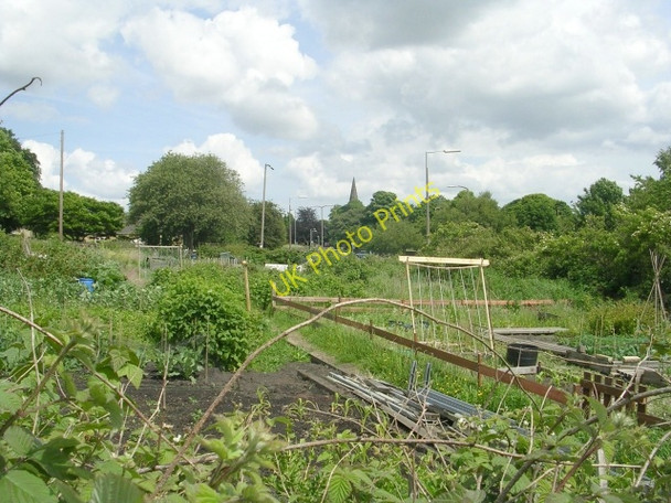 Photo 6"x4" Allotments - Low Moor Street Low Moor\/SE1528 c2009