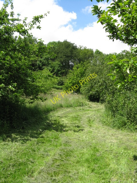Photo 6"x4" Steep Footpath Up White Hill Shucknall c2009