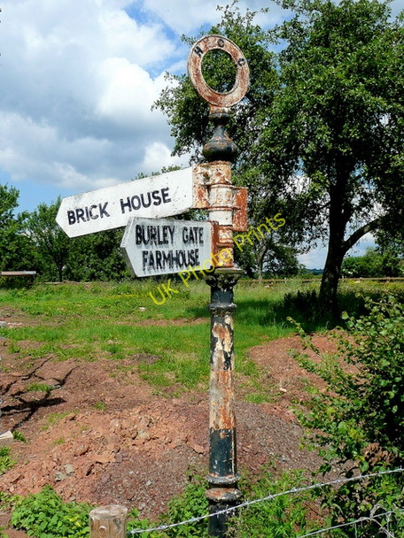 Photo 6"x4" Old finger-post sign Wynn's Green c2009