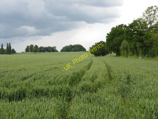 Photo 6"x4" Footpath Through A Field, Much Cowarne Bridge End\/SO6246 c2009