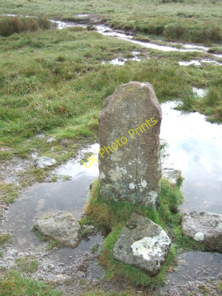 Photo 6"x4" Boundary stone near Dick's Well Shortacombe\/SX5286 c2009