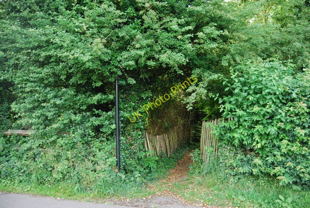 Photo 6"x4" Footpath off Roughway Lane Dunk's Green c2009