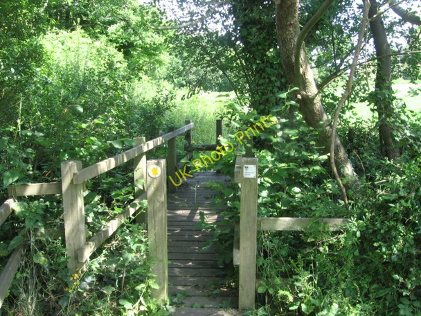 Photo 6"x4" Footbridge on footpath towards Wine Cross North Boarhunt c2009