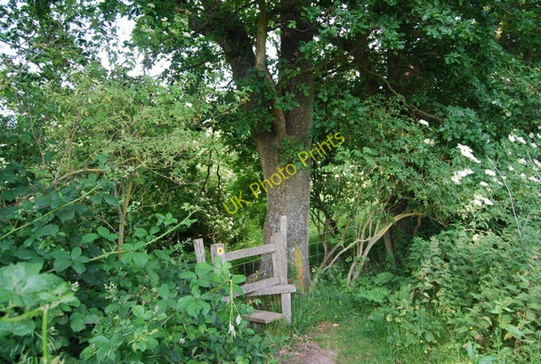 Photo 6"x4" Stile on the High Weald Landscape Trail near Matfield Matfield c2009