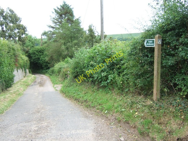 Photo 6"x4" Bridleway in Luppitt Beacon\/ST1705 c2009