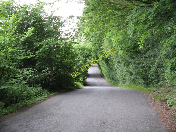 Photo 6"x4" Bodenham Lane At Dinmore Hill Hope under Dinmore c2009