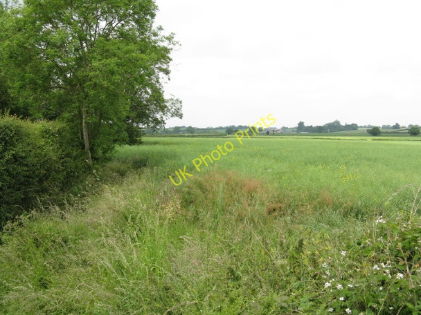 Photo 6"x4" Field West Of Bullocks Bridge Hillhampton c2009