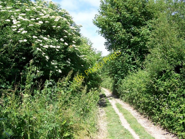 Photo 6"x4" The Old Shaston Drove near Harnham Netherhampton c2009