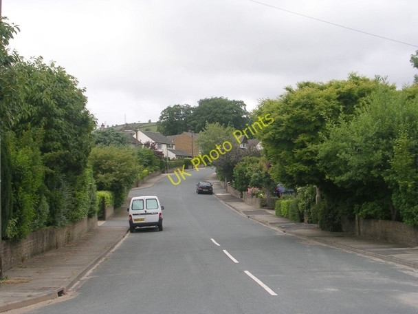 Photo 6"x4" The Narrows - Narrow Lane Harden\/SE0838 c2009