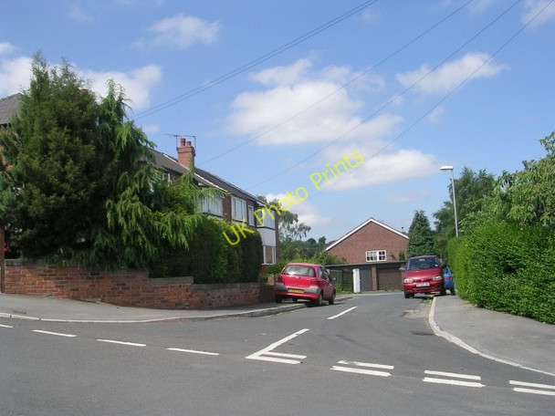 Photo 6"x4" Sycamore Row - Langley Avenue Pudsey\/SE2233 c2009