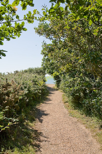 Photo 6"x4" Footpath south at Ella Nore Rookwood c2009