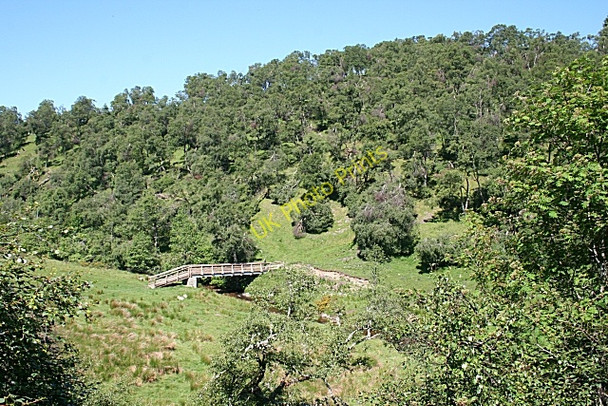 Photo 6"x4" Bridge Near Parkhead Dufftown c2009