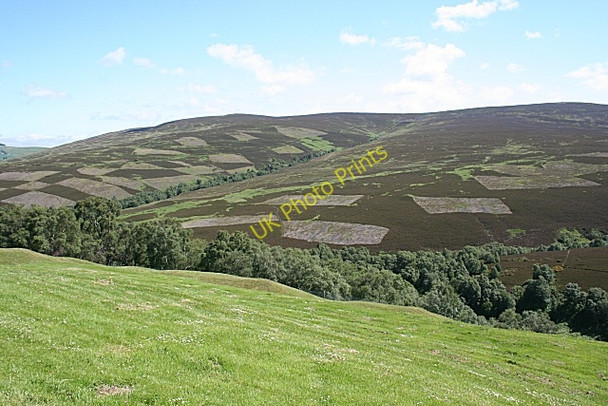 Photo 6"x4" Glen Fiddich Milltown of Auchindoun c2009