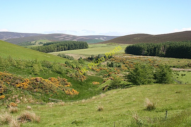 Photo 6"x4" Above Glencorrie Dufftown c2009
