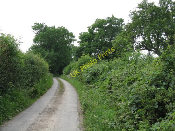 Photo 6"x4" Lane South From Preston Wynne Preston Wynne c2009