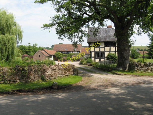 Photo 6"x4" The Vauld Farm Vaul c2009